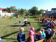 Sorbon - pes fotbalista